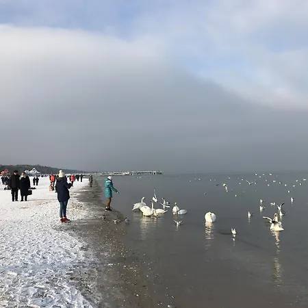 Seaside - Nadmorski Dwor * Gdansk
